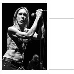Iggy Pop and The Stooges (1) by Karen Toftera
